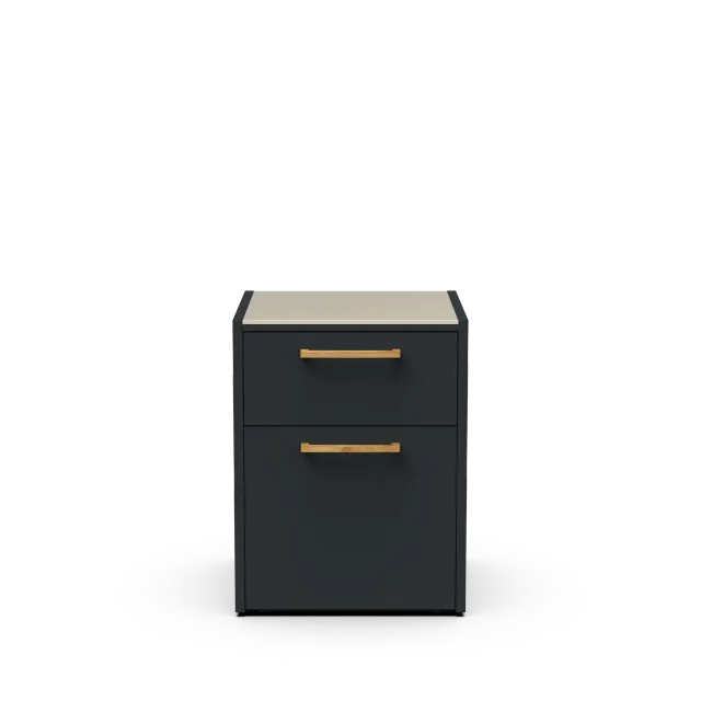 Brabura Modul CT 60 Schubladenmodul Mülleimer 65 cm